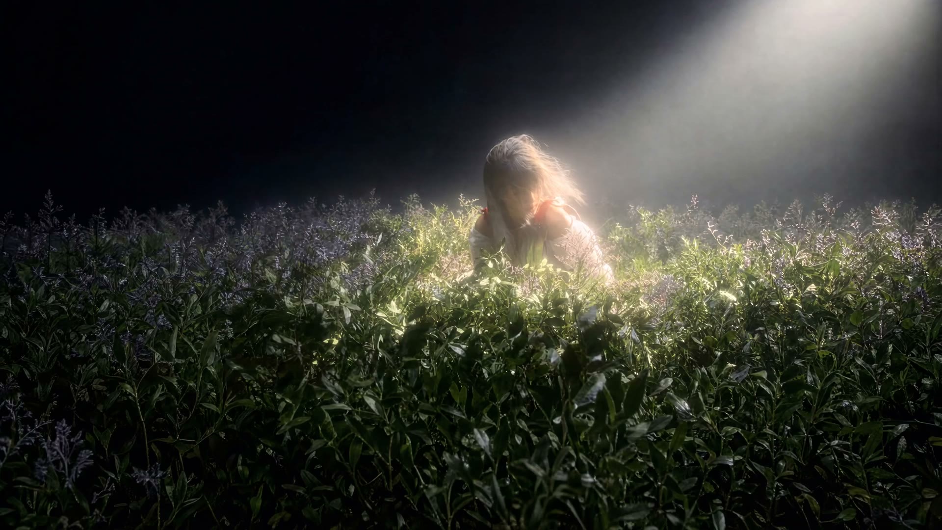 A cinematic video generated with Veo 3.1 Lite